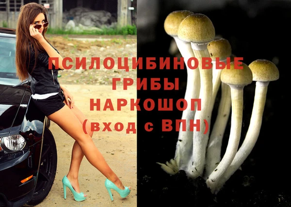 ешки Краснослободск
