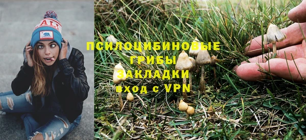 a pvp Костерёво